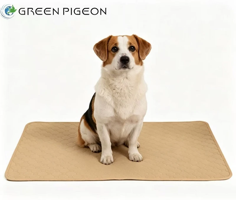 Pet Care