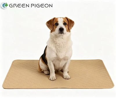 Biodegradable Training Pads